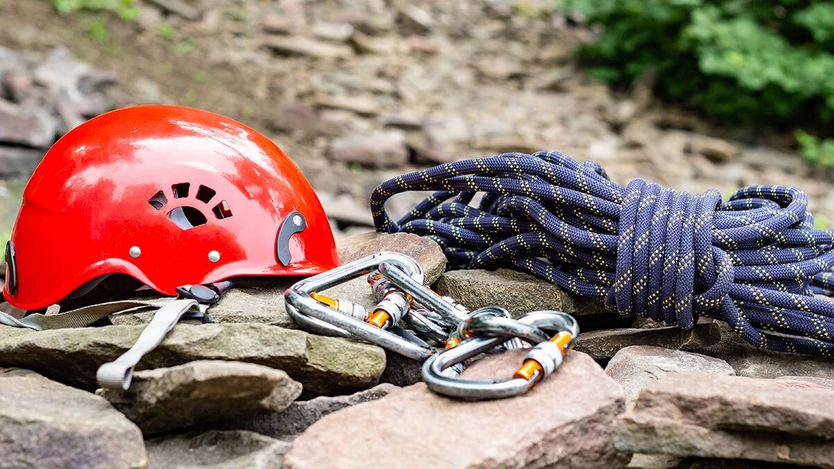    Фото: Shutterstock