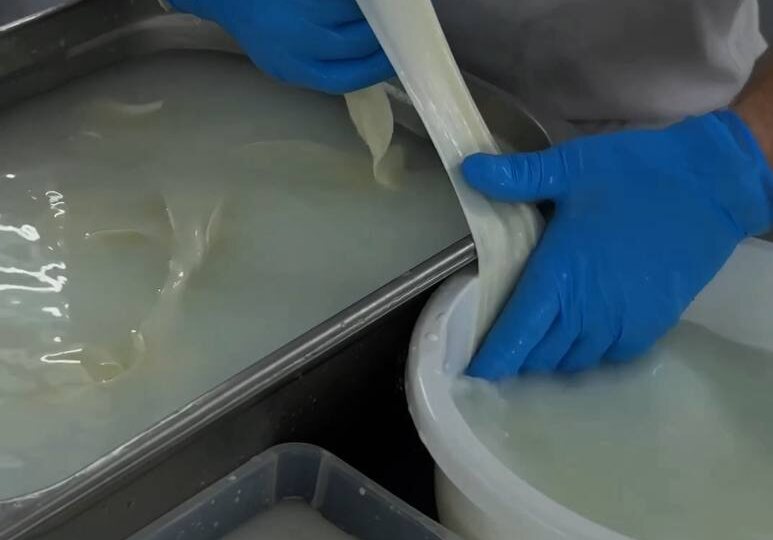 Сотрудники сыроварни