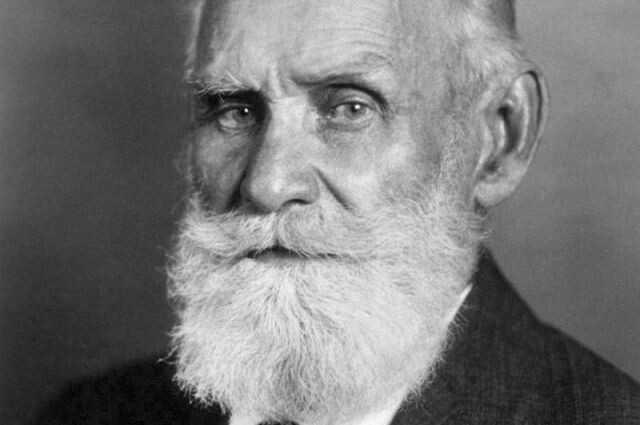 Как есть, чтобы долго жить: правила питания академика Ивана Павлова