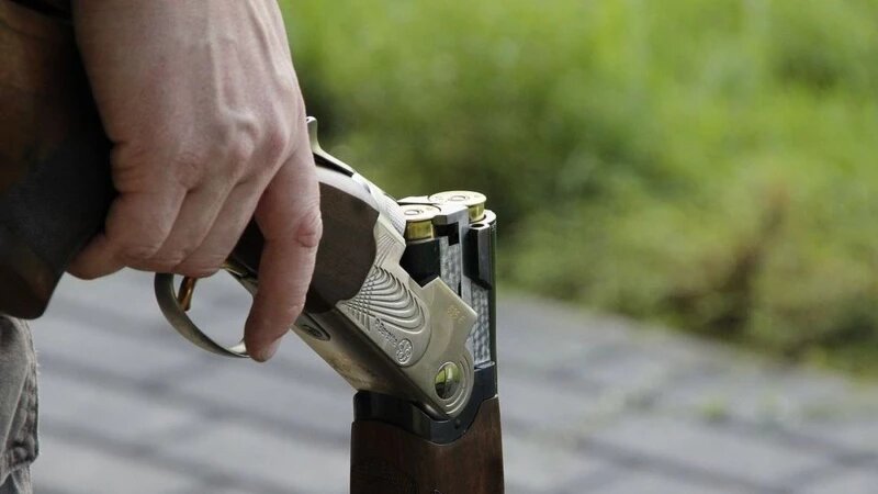     Ружье. Оружие. СС0