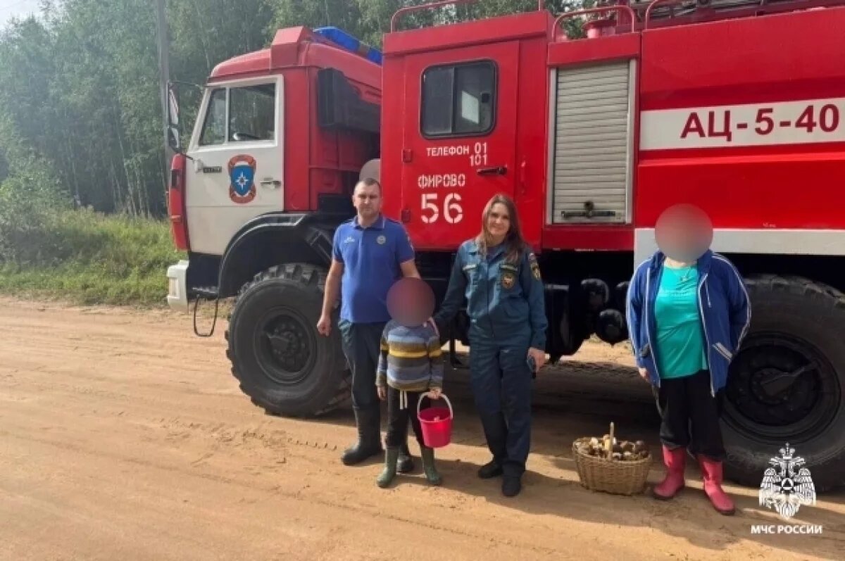    Пожарные спасли очередных заблудившихся грибников в Тверской области