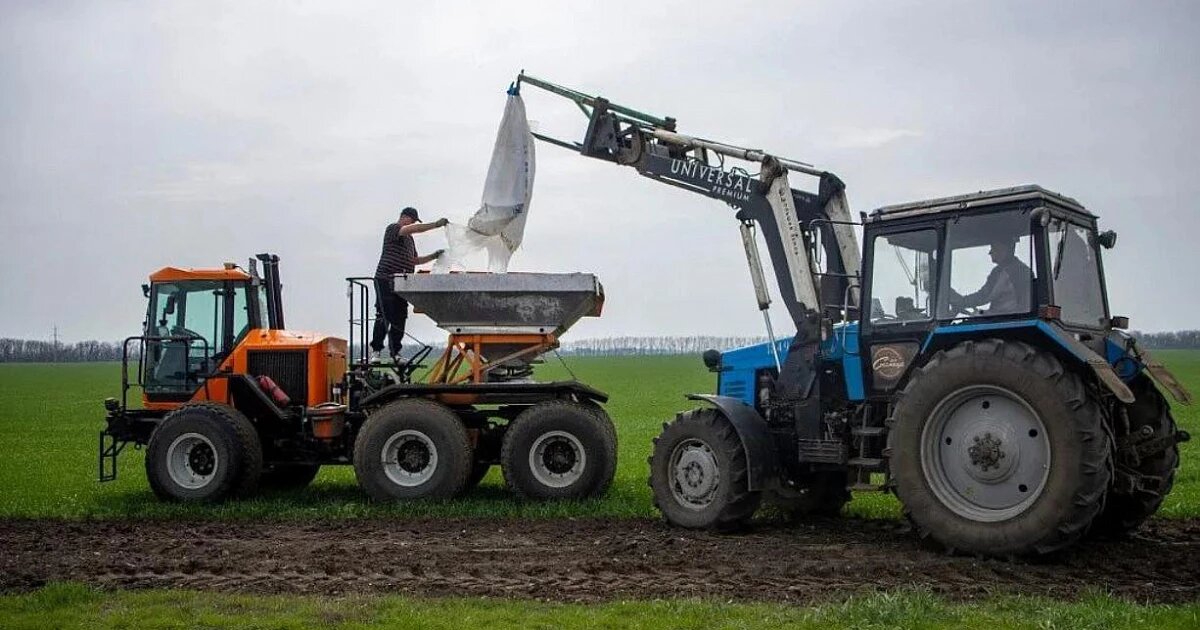 Фото: Минсельхоз Краснодарского края / Телеграм-канал