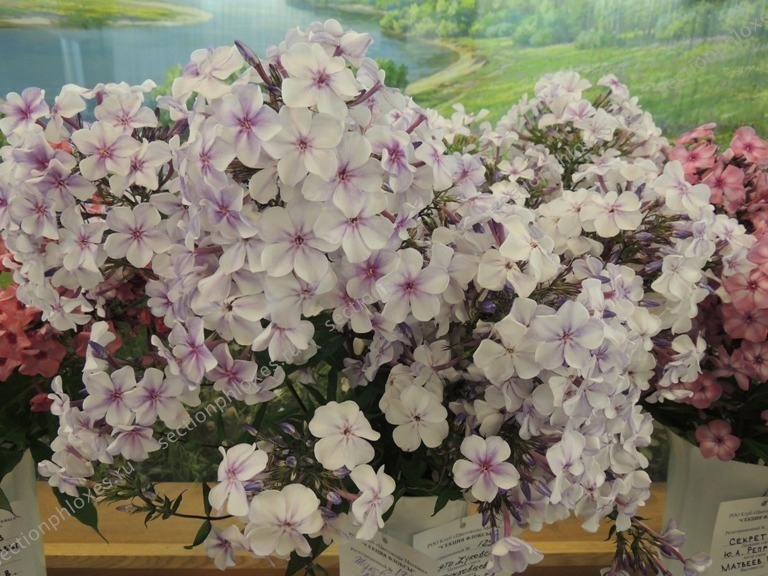 'Жуковский' (Репрёв, 1982)