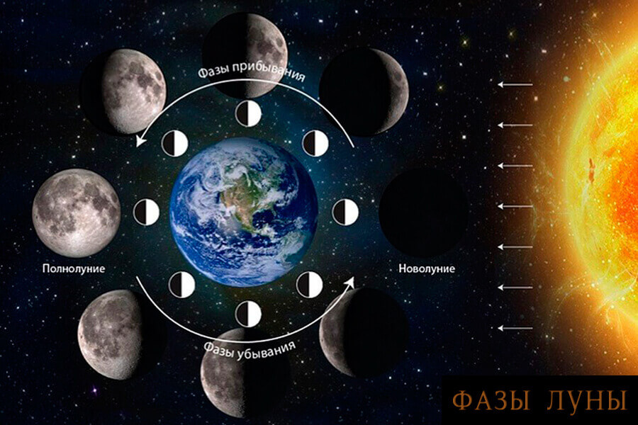    Фазы Луны. Источник изображения: darmaga.ru