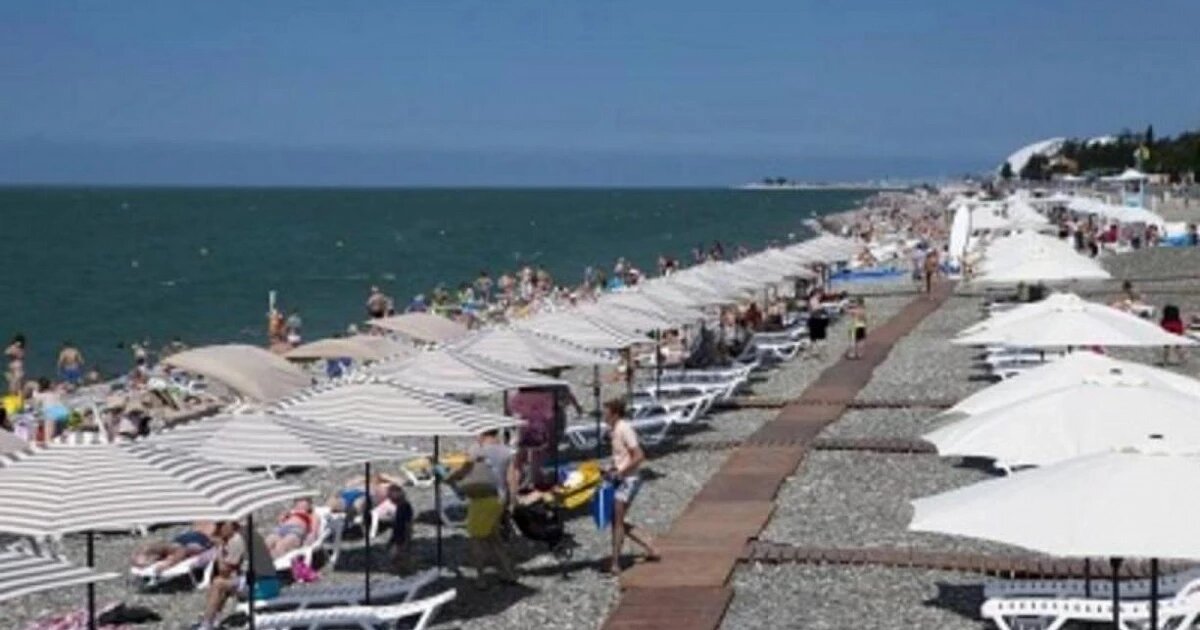 Фото: пресс-служба администрации Сочи