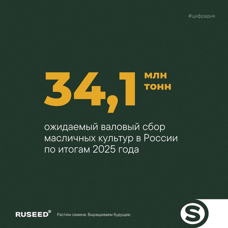     Прогноз производства масличных культур в России на 2025 год (данные на 27 августа 2025 года)
