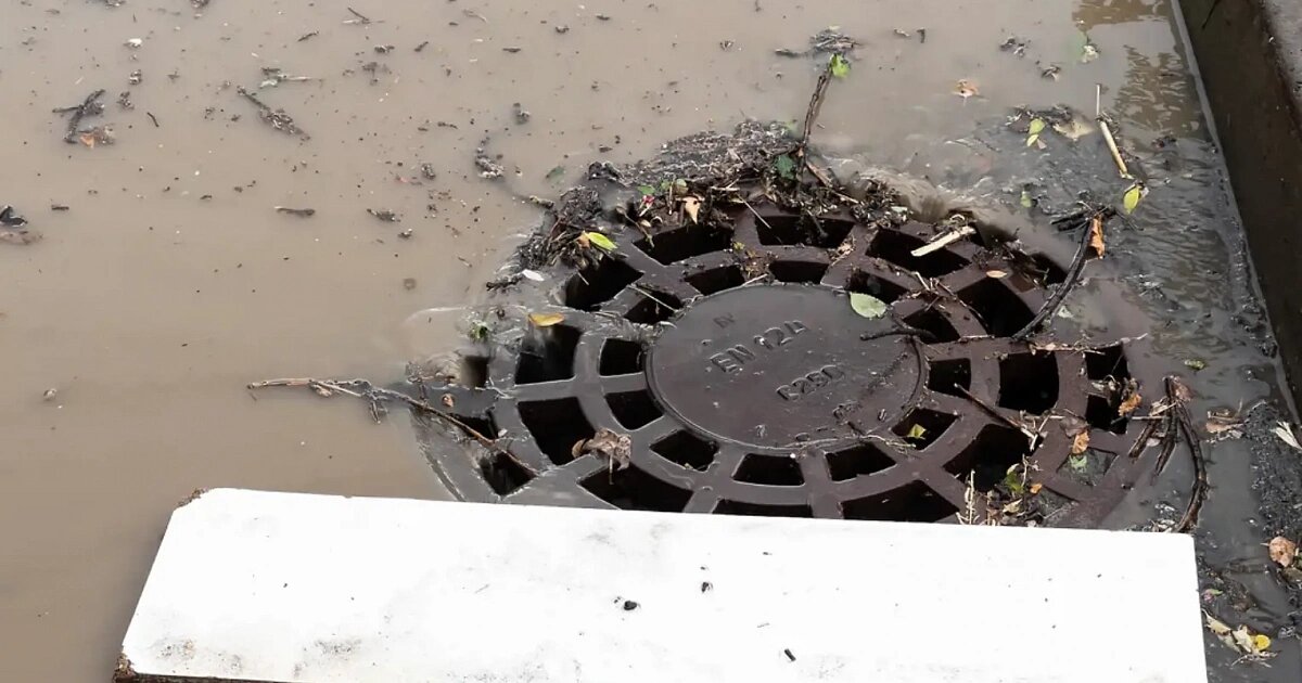 Фото: Олег Харсеев / Коммерсантъ