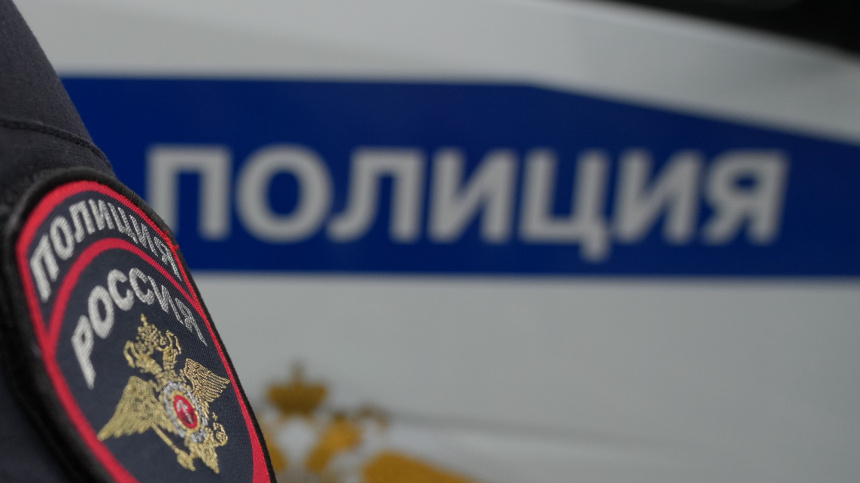    Фото: ИЗВЕСТИЯ/Дмитрий Коротаев; 5-tv.ru