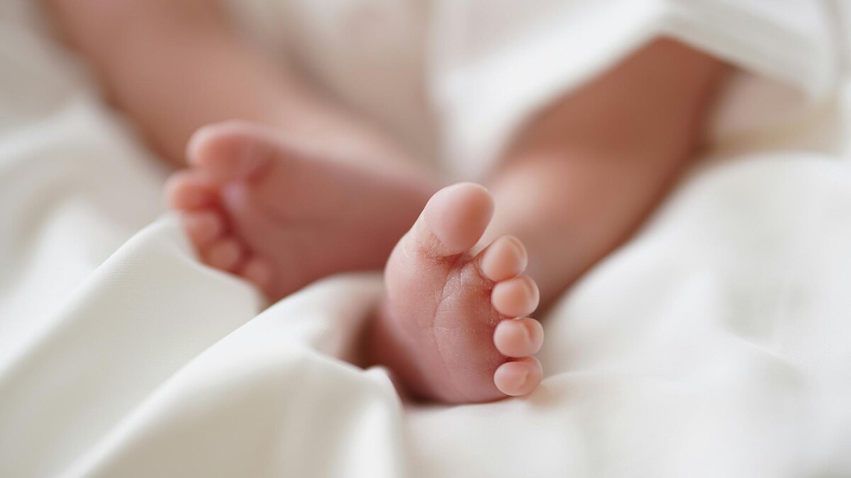    Фото: unsplash.com