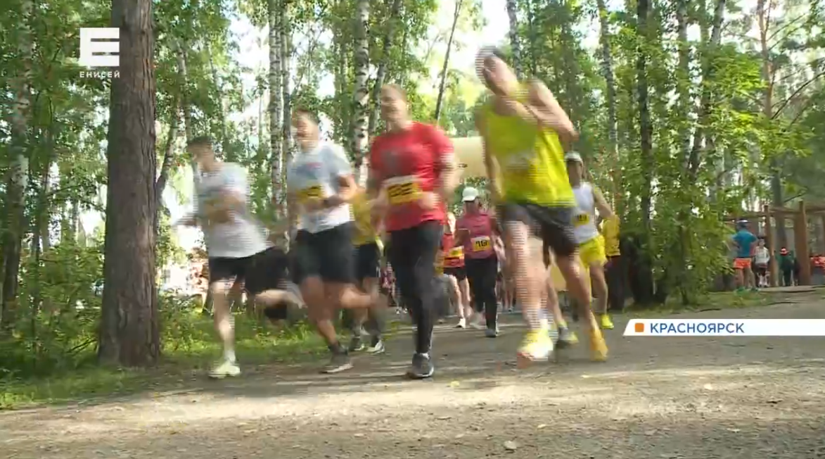     Массовый забег накануне Дня нефтяника прошел в красноярской «Гремячей гриве»
