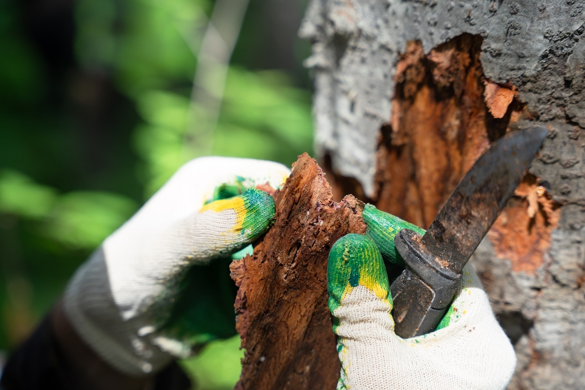 Фото: Александр Плонский / «Агроэксперт»