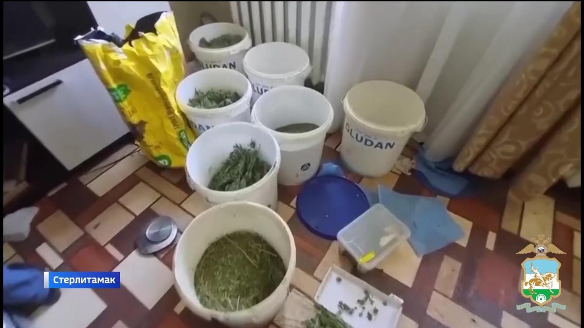    У жителя Башкортостана изъяли около 50 кг наркотиков