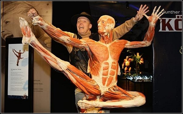 Скульптуры из трупов в музее Гюнтера фон Хагенса (Gunther von Hagens)