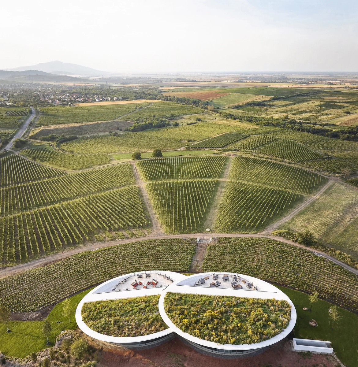 Architecture: BORD Architectural Studio | Project: Sauska Tokaj Winery | Photo: Hufton + Crow | Geo: Rátka, Padi-hegy, HU