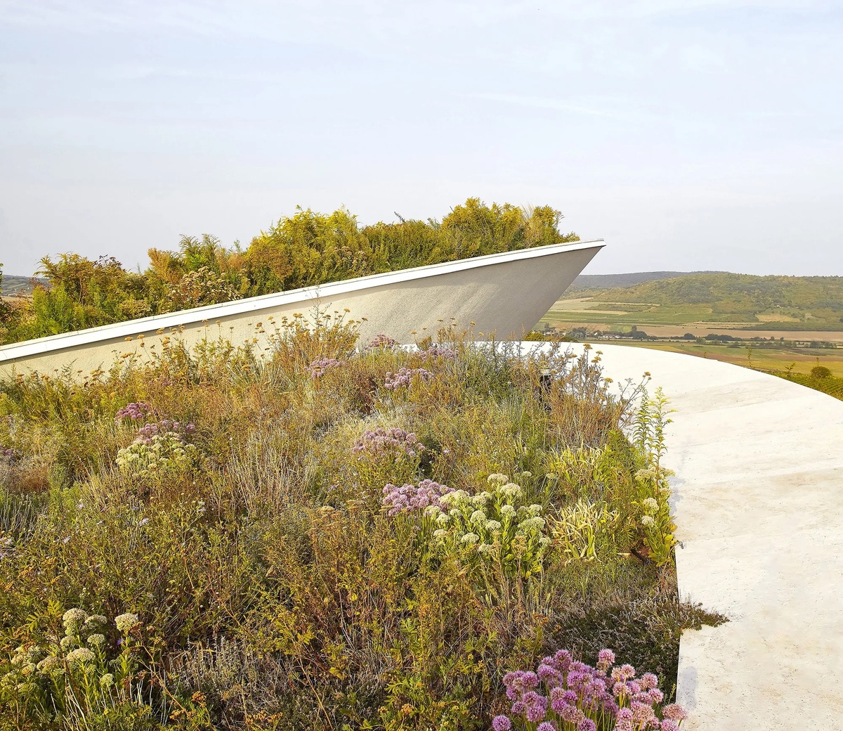 Architecture: BORD Architectural Studio | Project: Sauska Tokaj Winery | Photo: Hufton + Crow | Geo: Rátka, Padi-hegy, HU