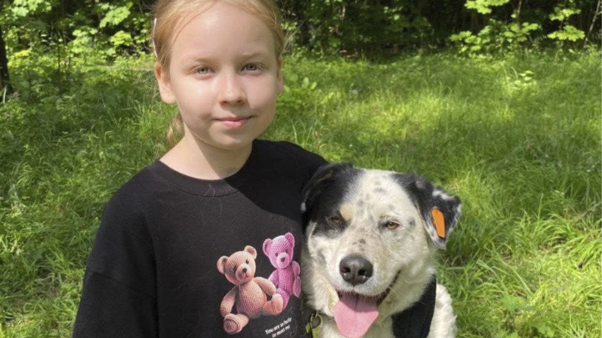    Дети и родители помогут собакам приюта 1 сентября