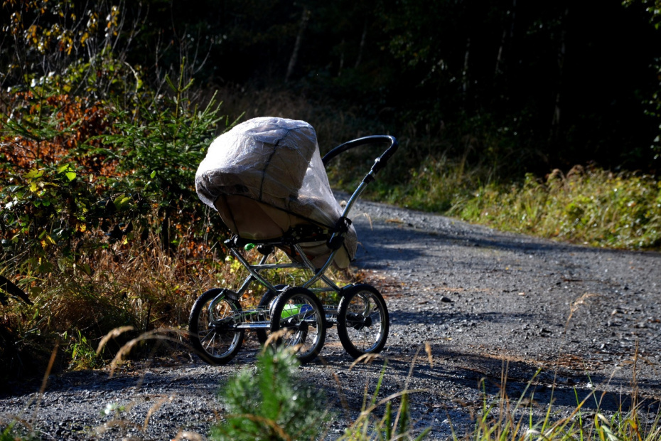    Shutterstock/FOTODOM