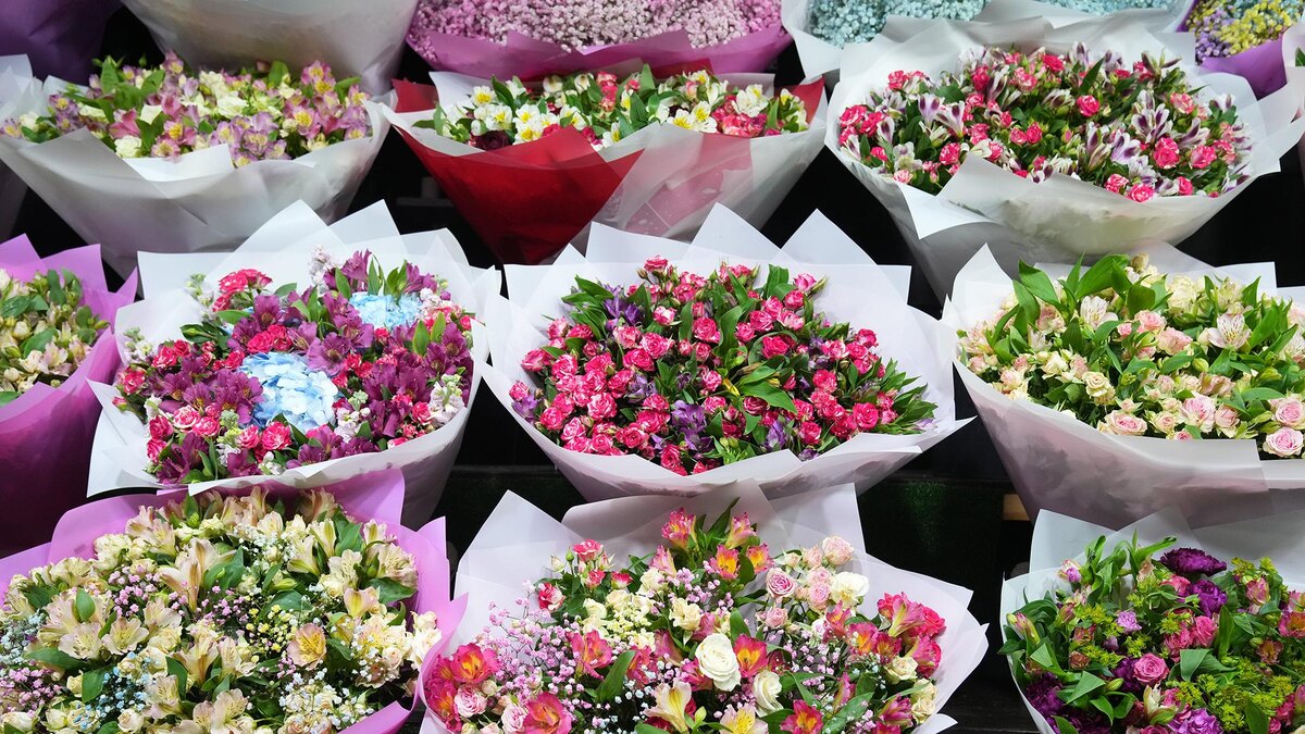    Фото: ИЗВЕСТИЯ/Дмитрий Коротаев