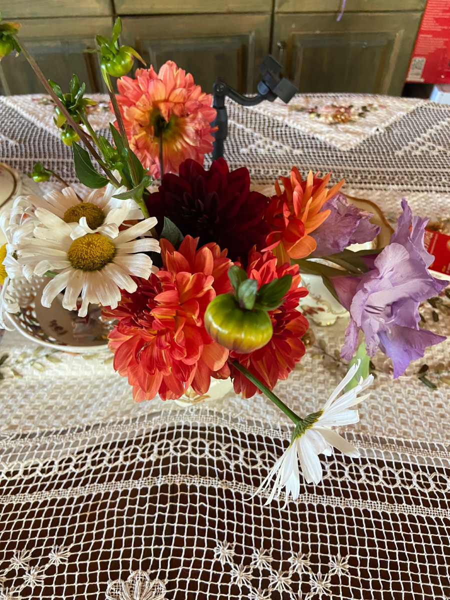 Цветы с клумбы. 