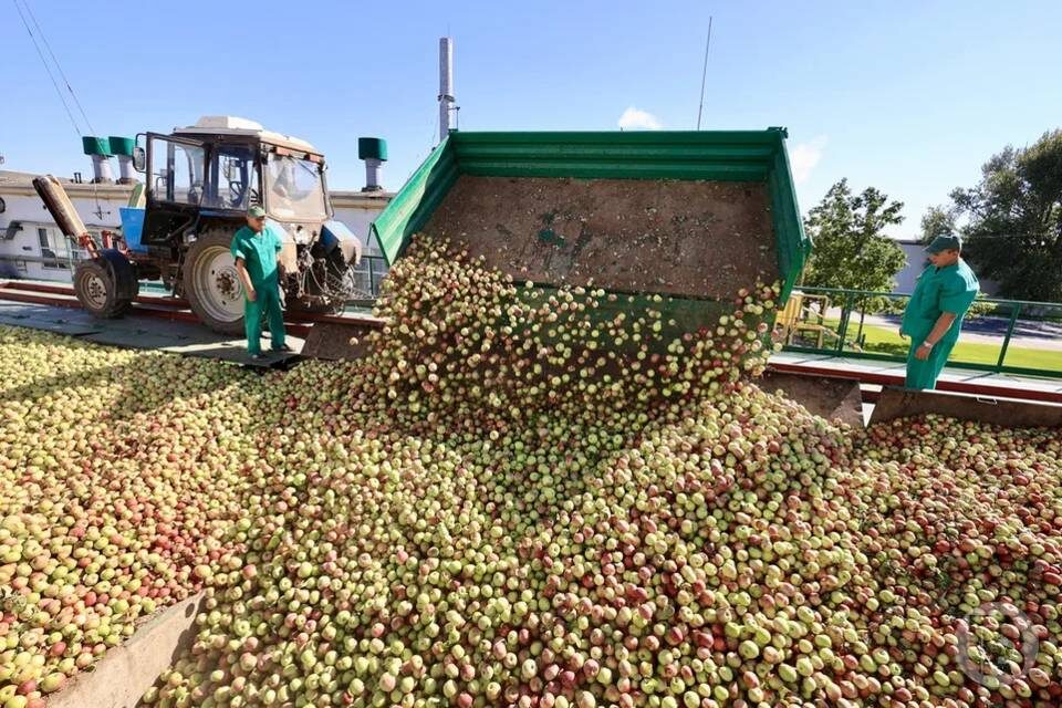    Фото: Дмитрий Рогулин / "Городские вести"