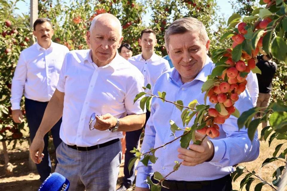    Фото: Дмитрий Рогулин / "Городские вести"