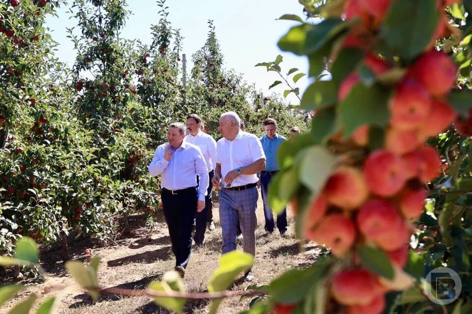   Фото: Дмитрий Рогулин / "Городские вести"