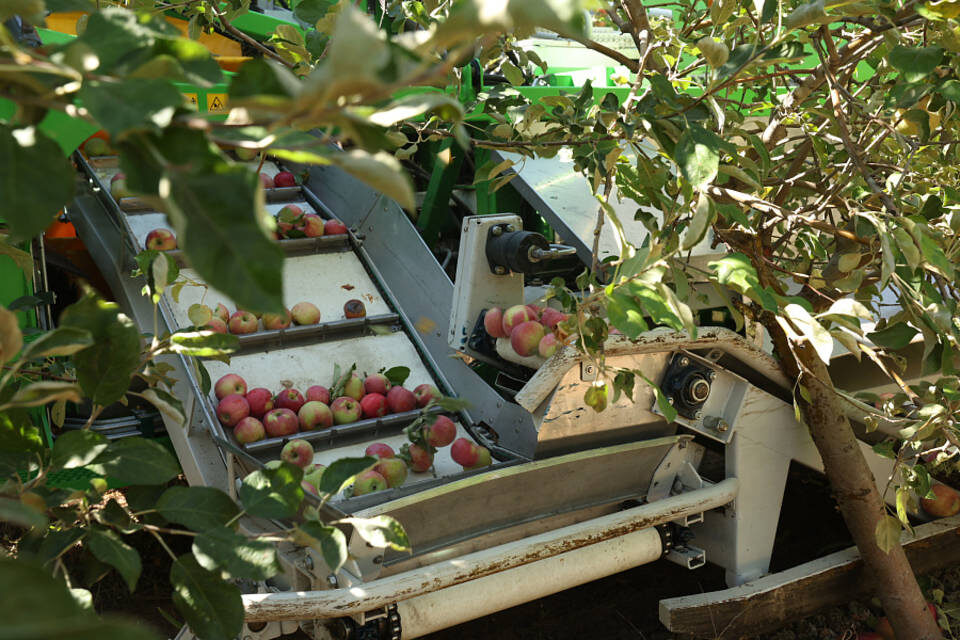    Фото: пресс-служба администрации Волгоградской области.