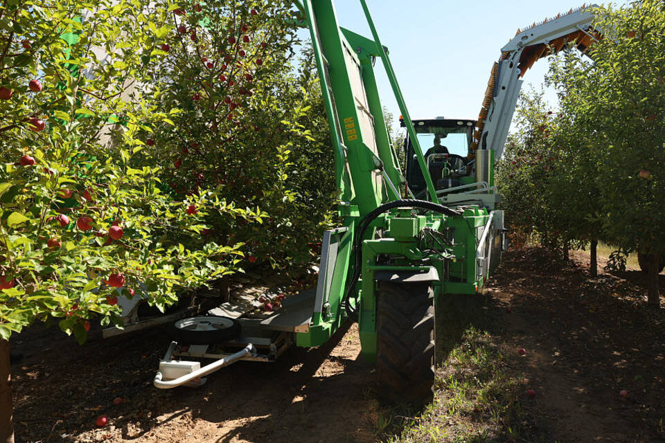    Фото: пресс-служба администрации Волгоградской области.