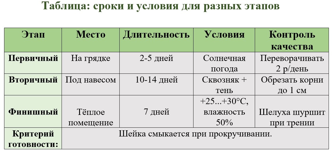 Таблица: сроки и условия для разных этапов