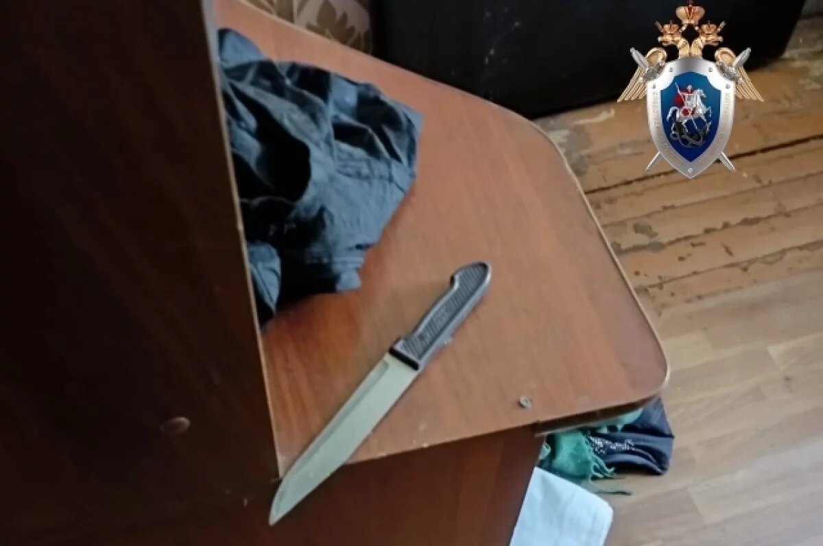    Пьяная жительница Ульяновска напала на мужчину со сковородкой и ножом