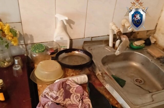    Фото: Пресс-служба следственного комитета по Ульяновской области