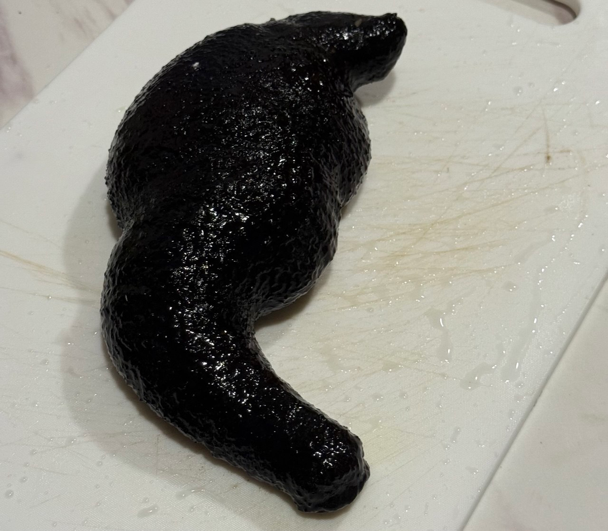 вот он какой - морской огурец 