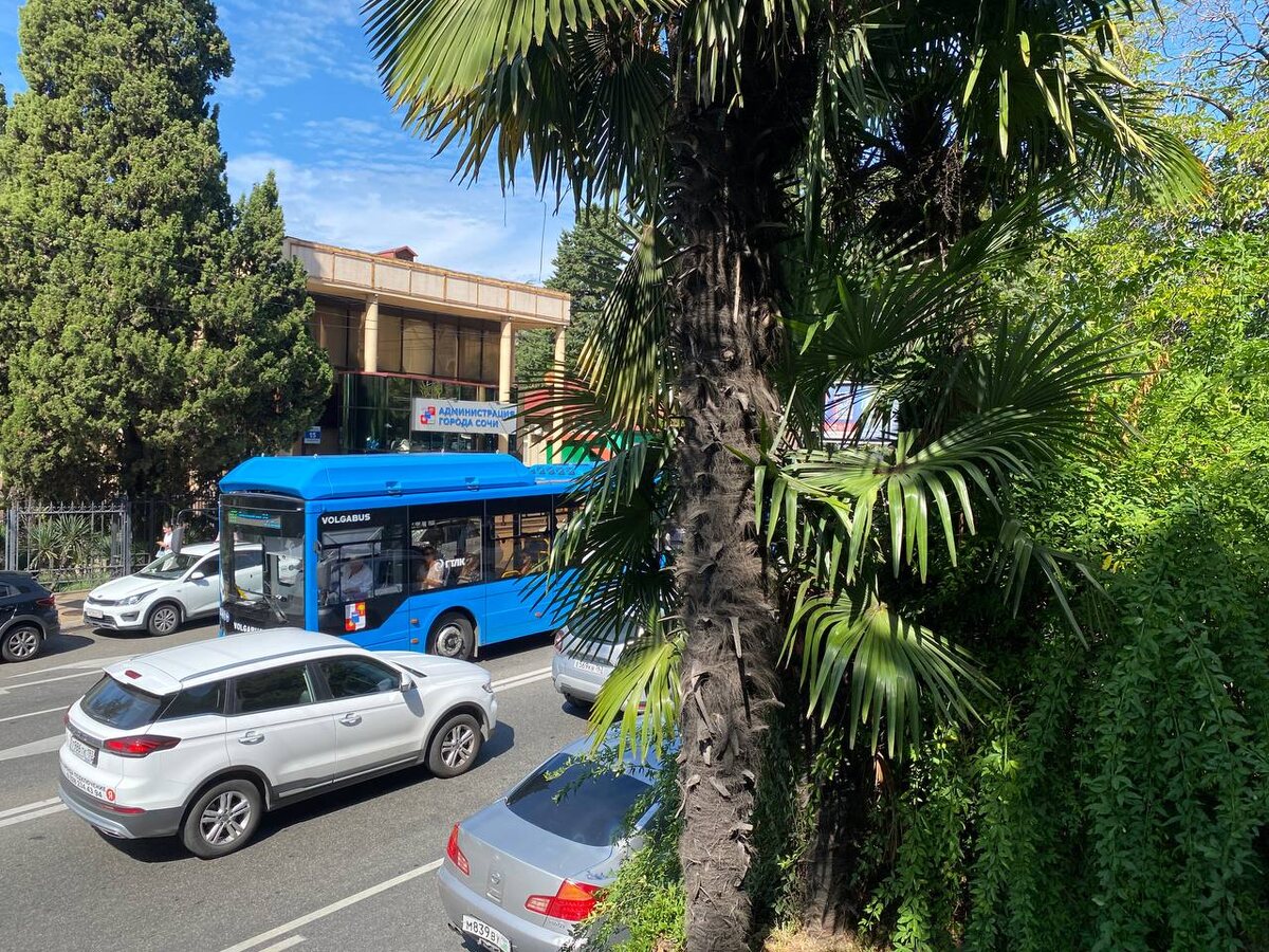 Фото: телеканал «Краснодар»