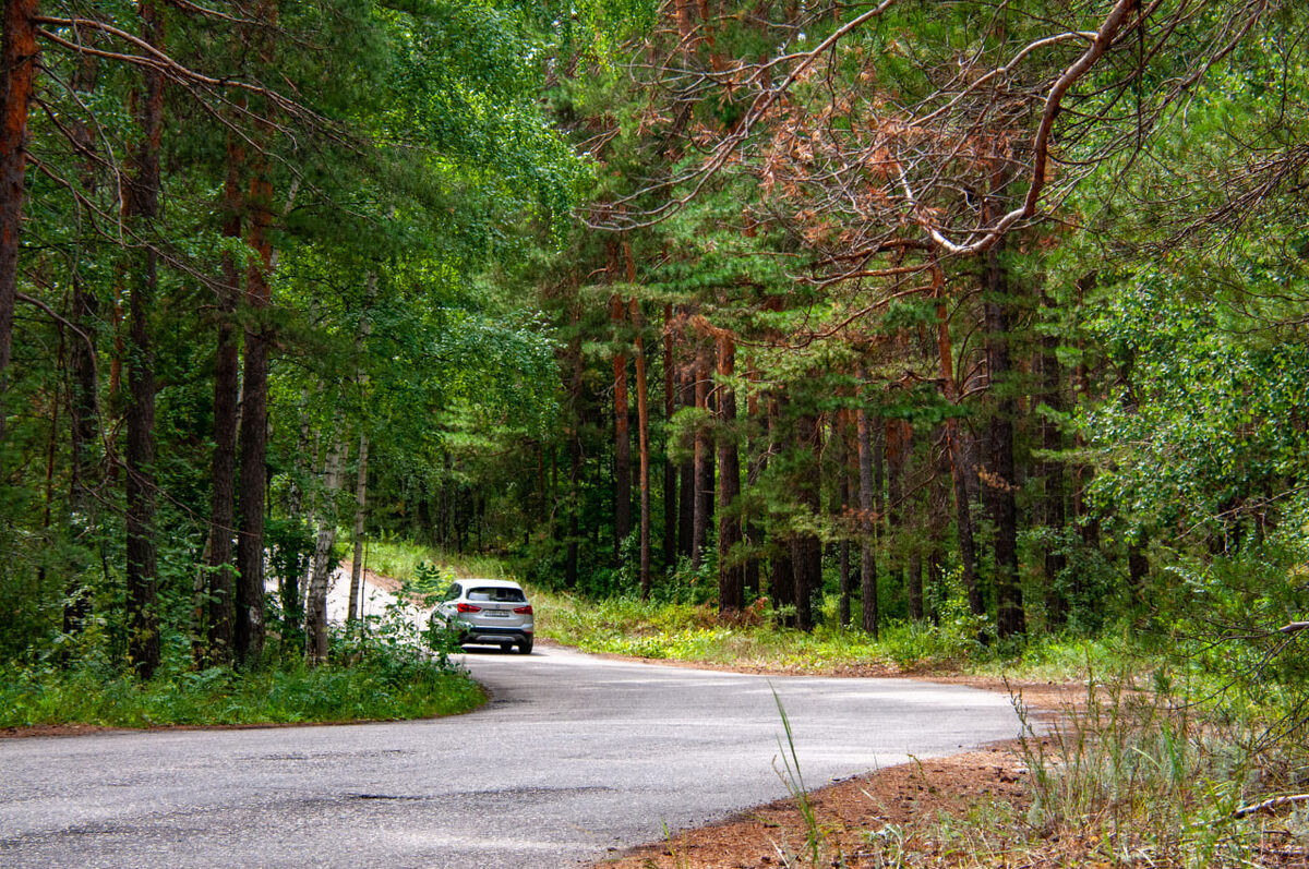 Фитосанитарная зона установлена на территории Великолукского и Невельского районов.  Фото: Фото: ФедералПресс / Светлана Возмилова