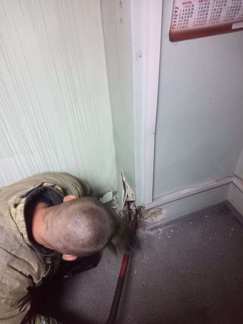    Пожарные спасли застрявшего в вентиляции котенка в КарелииТелеграм-канал Госкомитета Республики Карелия по обеспечению жизнедеятельности и безопасности населения