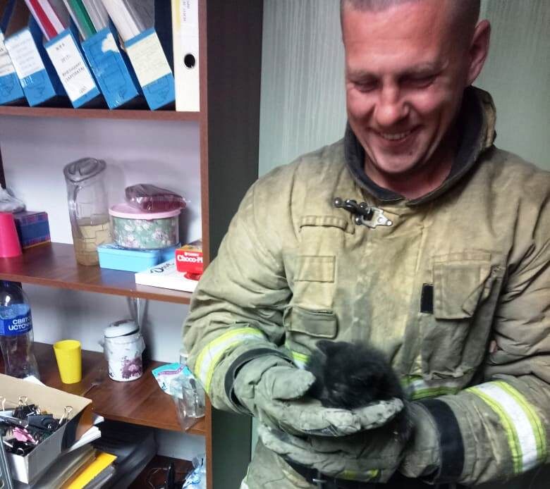    Пожарные спасли застрявшего в вентиляции котенка в КарелииТелеграм-канал Госкомитета Республики Карелия по обеспечению жизнедеятельности и безопасности населения