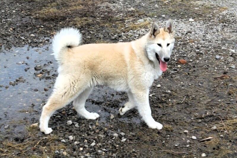 Ухтыш Л.Л,Карасёва