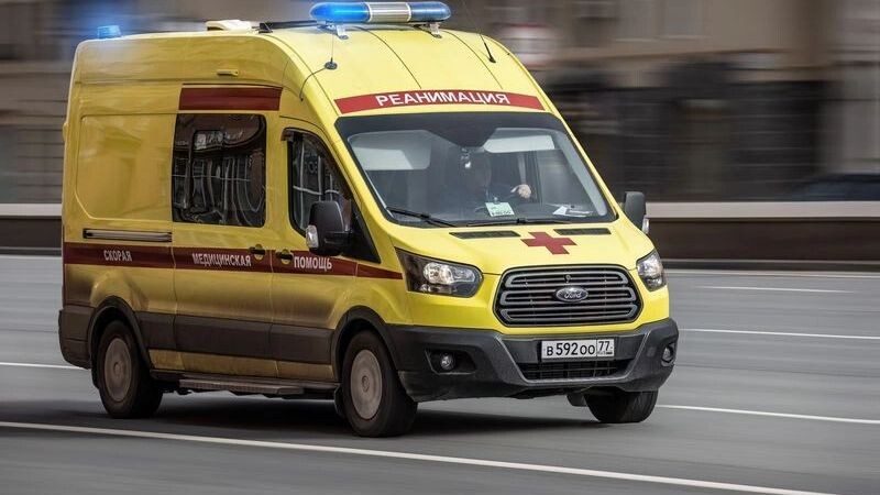    Фото: Haggardous50000/Shutterstock/Fotodom