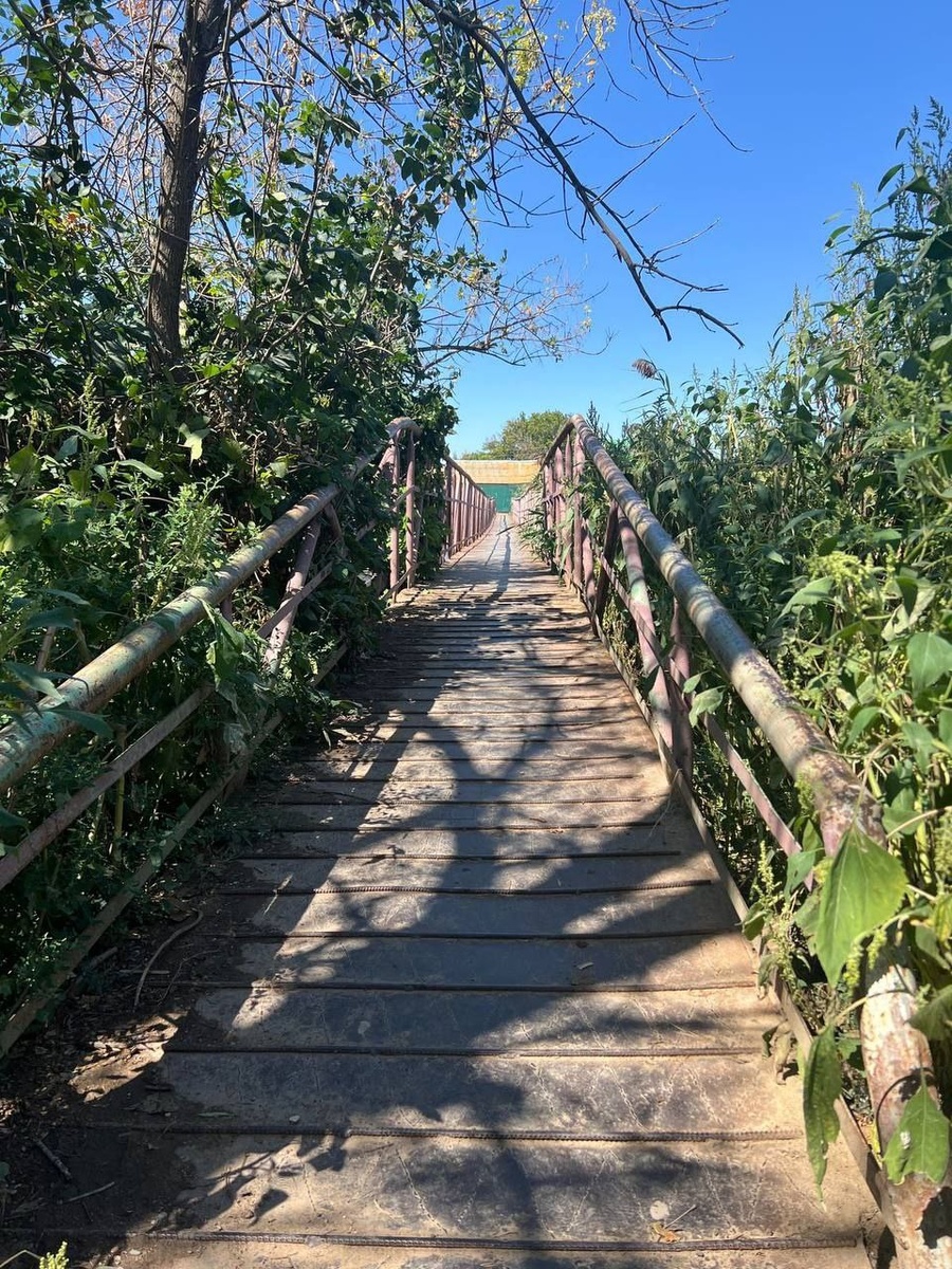    Фото: Игорь Седов, Источник: t.me/igorsedow