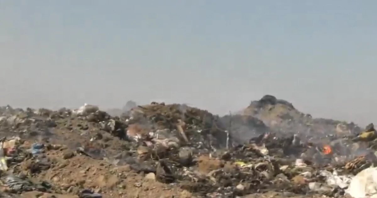 Фото: Роман Бублик | Ейский район / Telegram