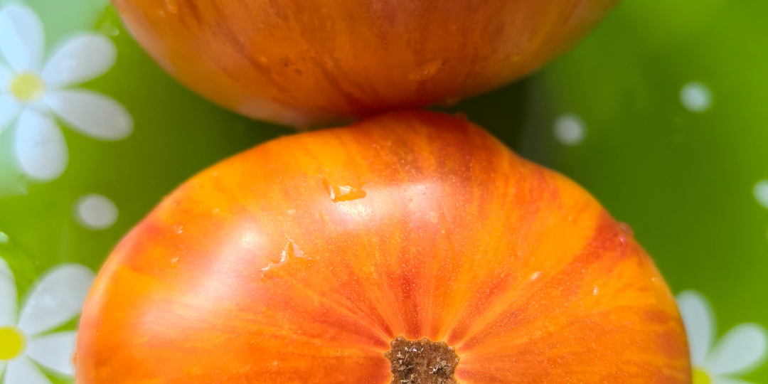 Томаты, которые поразили вкусом и урожайностью