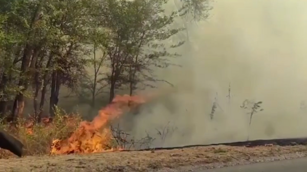    © МЧС России