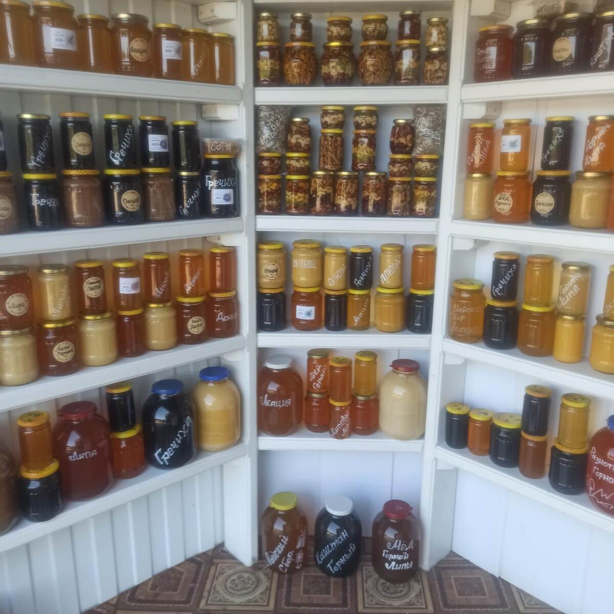 Мëд Павленко