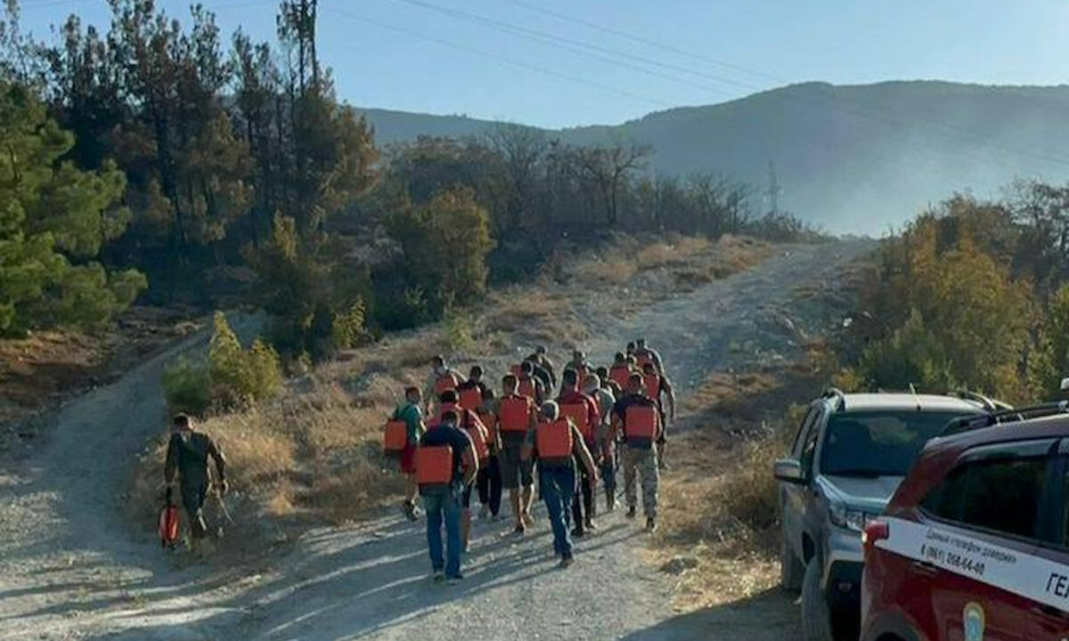    Фото t.me/adm_gelen