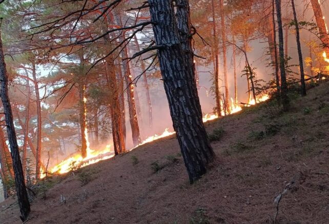    Фото: t.me/mpr_kk