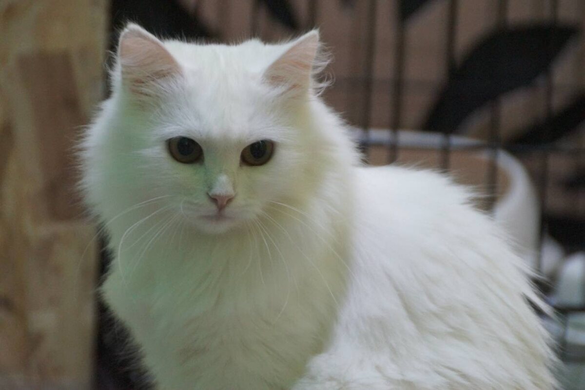 Почему меня не забирают домой?