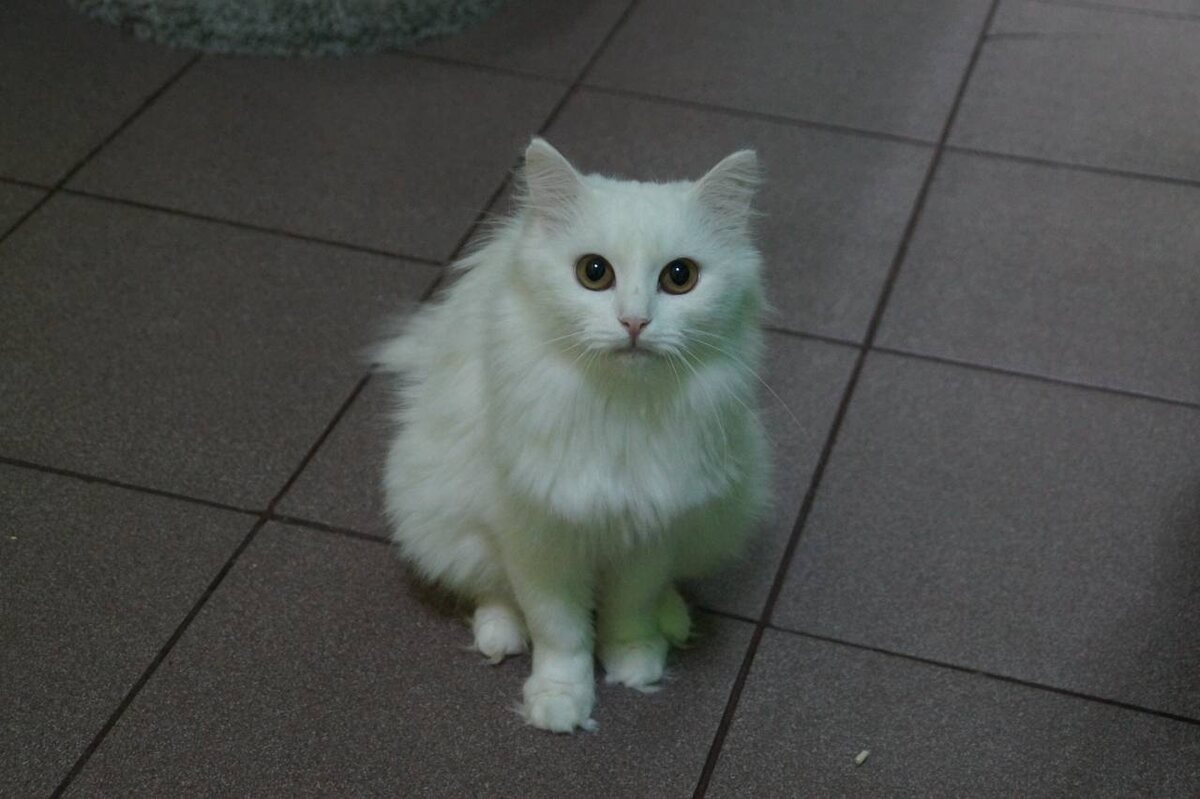 Я же красивая! Но опять не взяли