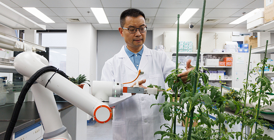 Фото: Jin Liwang/XinHua/Global Look Press