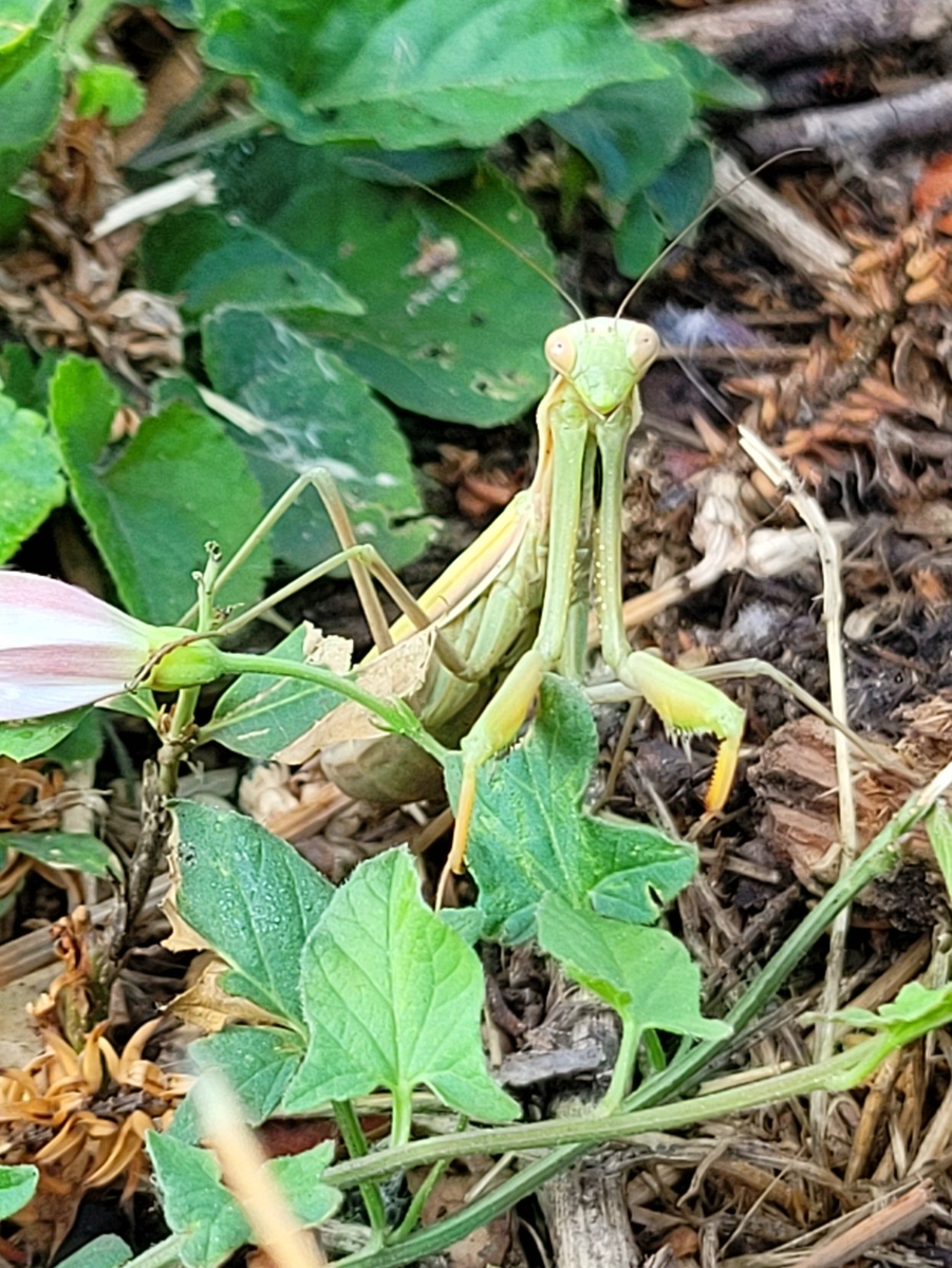 Фото от 27 августа 2025год 