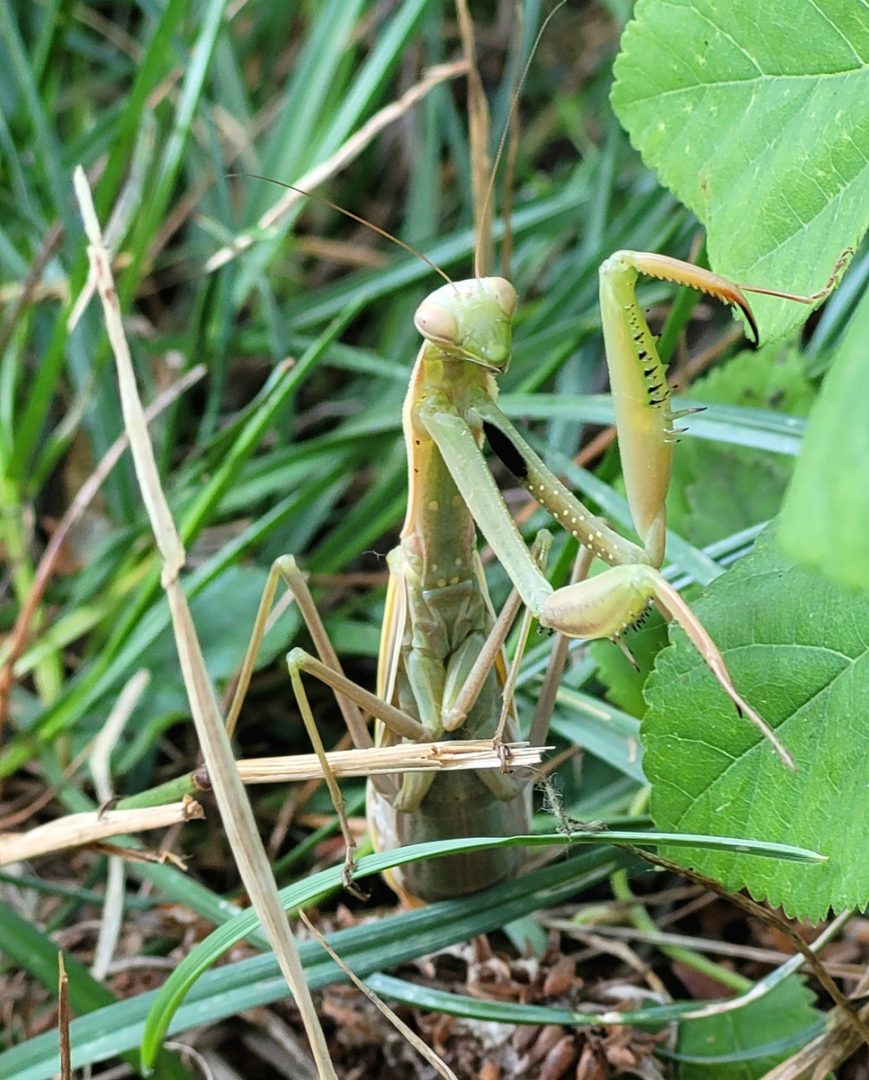 Фото от 27 августа 2025год 
